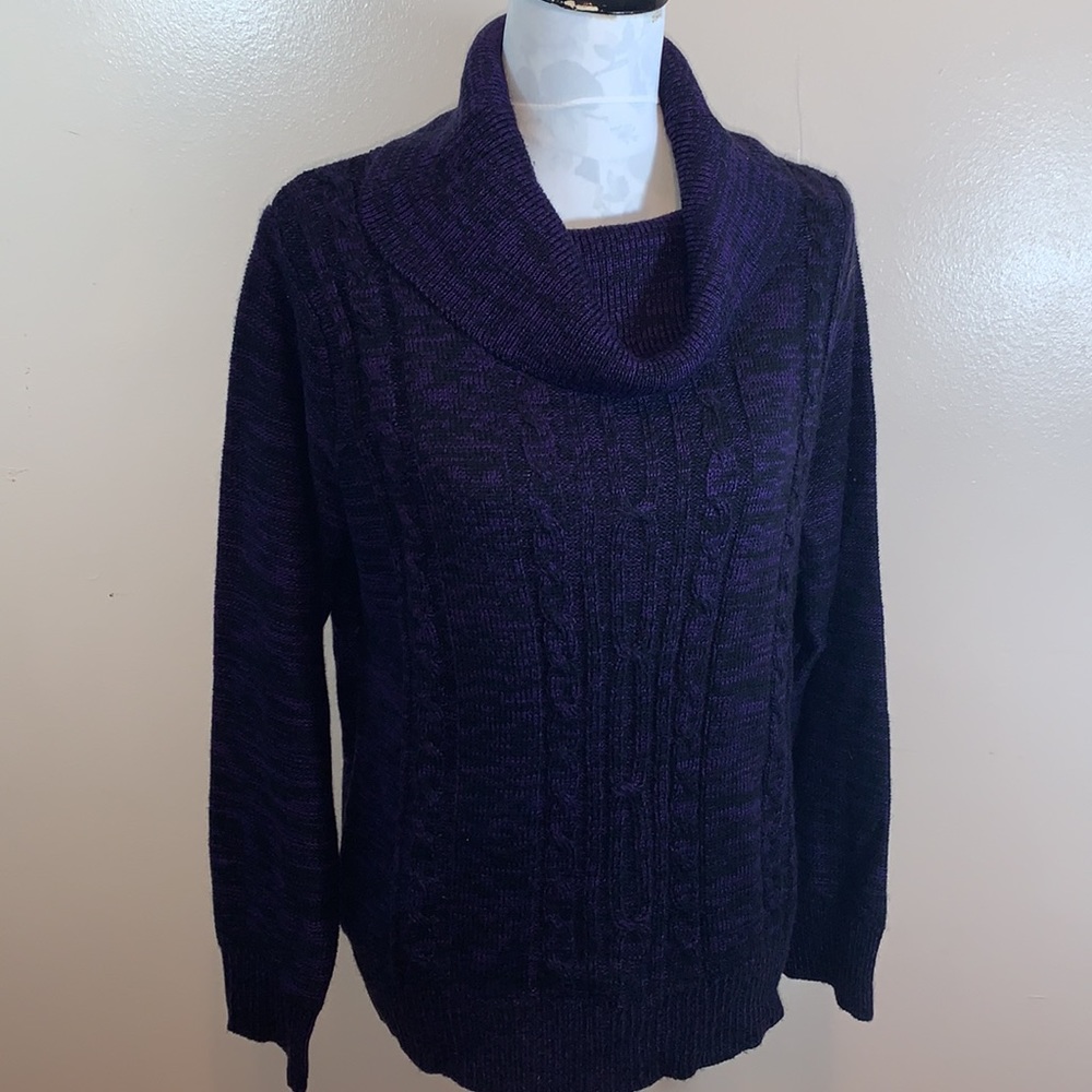 Carol Rose Deep Purple & Black Cowl-neck Sweater